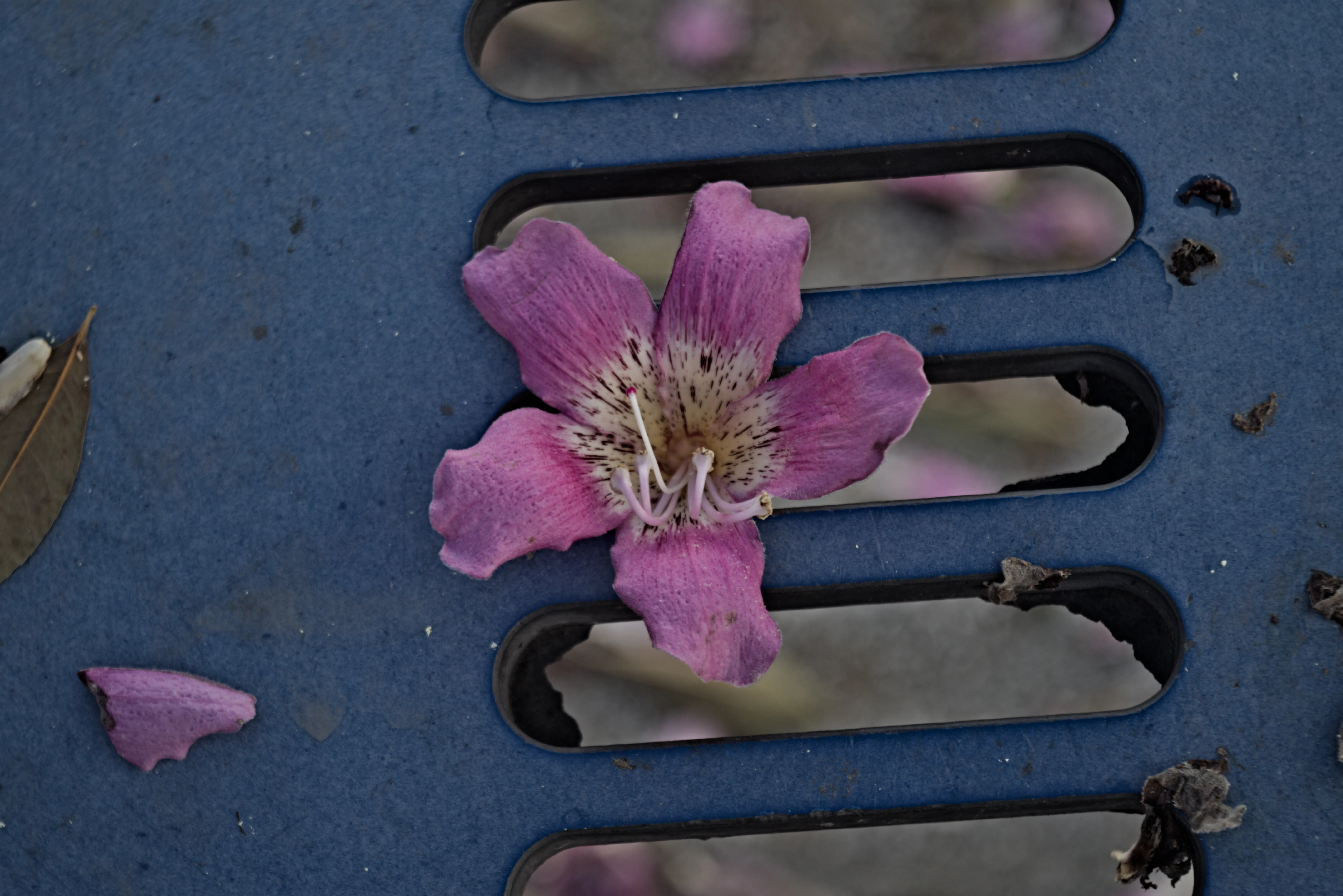 Industar-50-2 50mm f3.5 (M42) - _I4A0914.webp